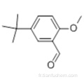 Benzaldéhyde, 5- (1,1-diméthyléthyl) -2-méthoxy-CAS 85943-26-6